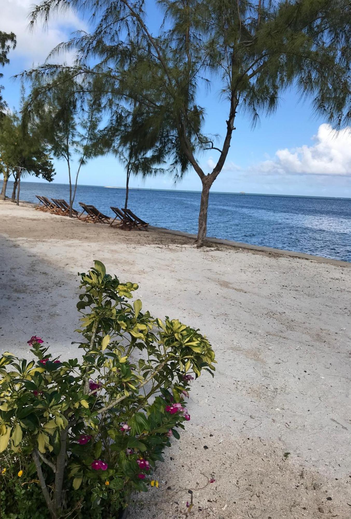 Bon Vivant Front De Mer - Ile Rodrigues Port Mathurin Esterno foto